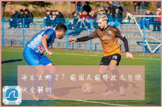 海东去哪了？前国足前锋近况与现状全解析
