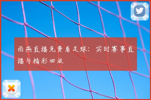 雨燕直播免费看足球：实时赛事直播与精彩回放