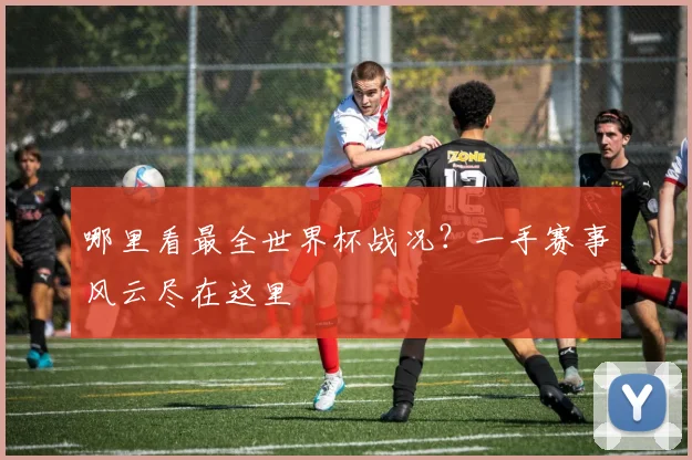 哪里看最全世界杯战况？一手赛事风云尽在这里
