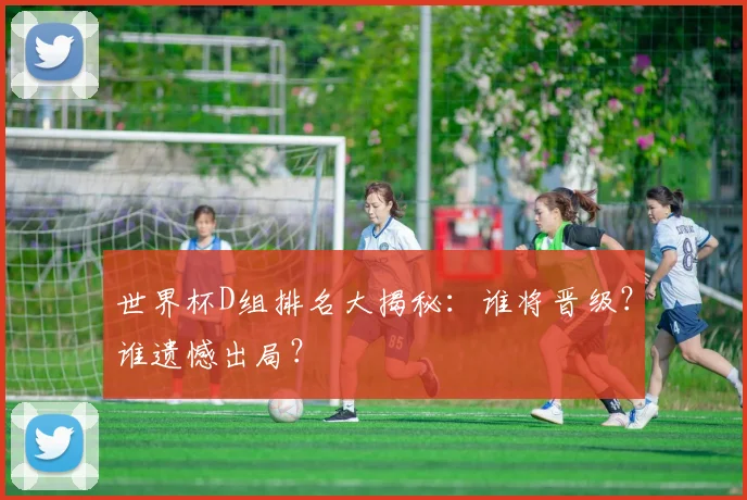 世界杯D组排名大揭秘:谁将晋级?谁遗憾出局?