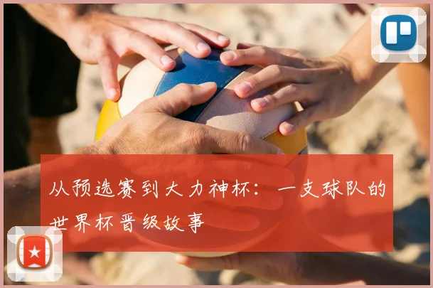 从预选赛到大力神杯:一支球队的世界杯晋级故事